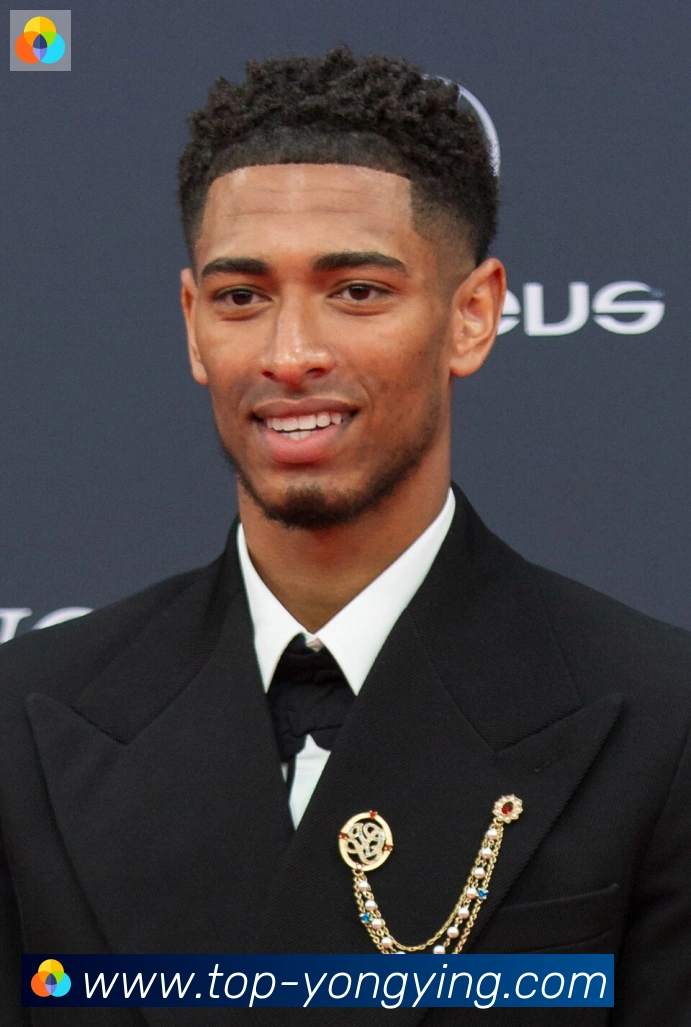 维尼修斯